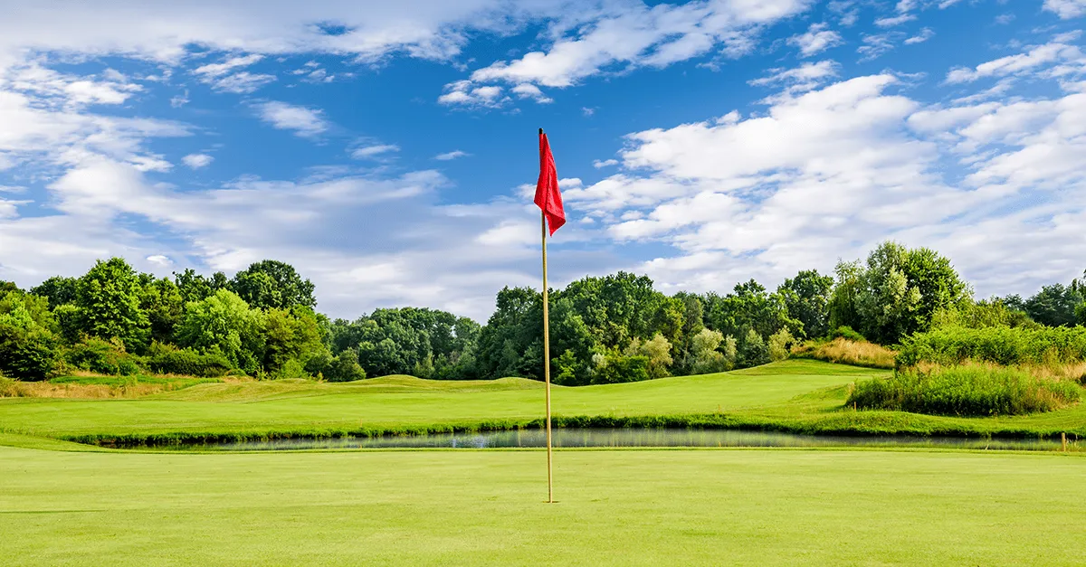 Golf flag on a green putting green.